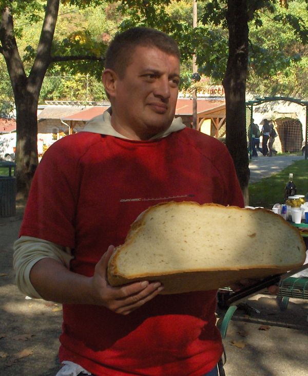 hziasFFi